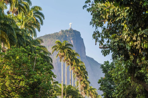 Rio de Janeiro: Tijuca National Park & Botanic Garden Tour