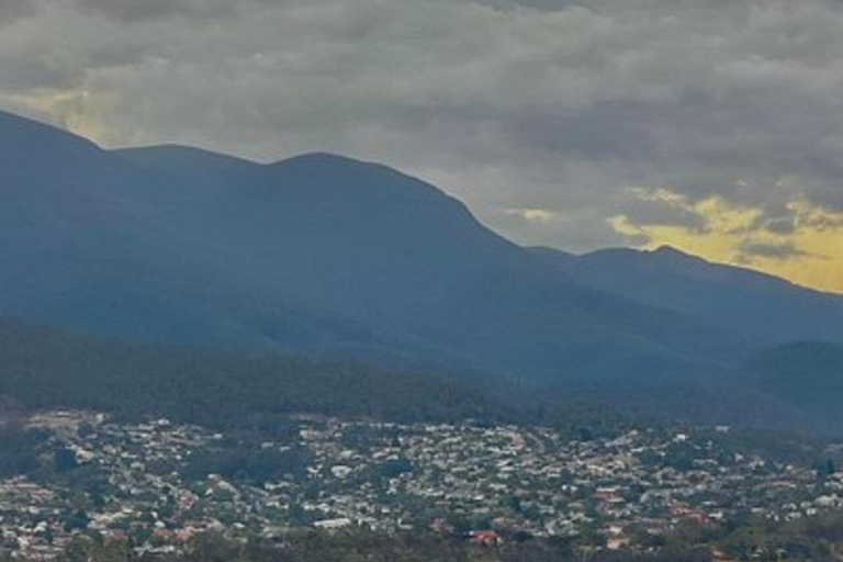 Hobart: River Derwent and Storm Bay Cruise