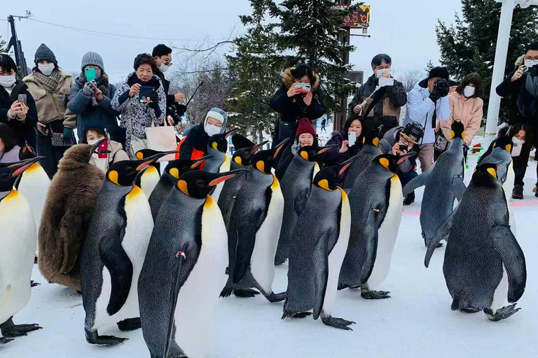 Small Group Hokkaido Sapporo Abashiri 9-Guest 2-Day Tour 07:30 Pick&Drop from Hotel/BnB