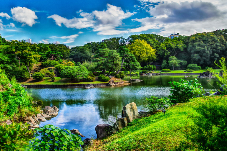 Tokyo Cherry Blossom Tour: Showa Kinen, Rikugien & Asukayama Cherry Blossom Group Tour with Shinjuku Meeting Point