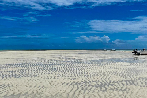 Zanzibar: Mnemba Blue Safari i spotkanie z delfinamiMnemba: delfiny i rafa – wycieczka grupowa