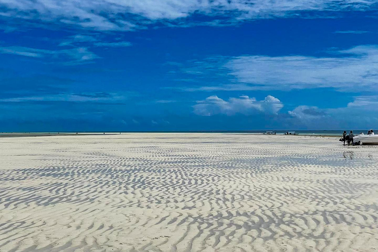 Zanzibar: Mnemba Blue Safari i spotkanie z delfinamiMnemba: delfiny i rafa – wycieczka grupowa
