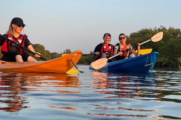 Al Khor: Kajakpaddling i mangroveskogen