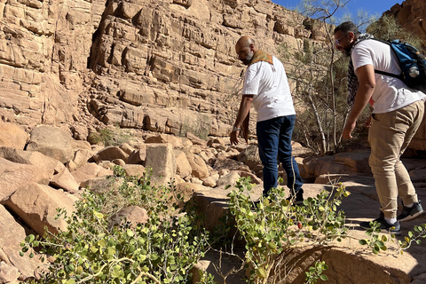 Hurghada Qattar Mountain Adventure: 4WD & Stargazing Hurghada: Gattar Mountain,Off-Road & lunch