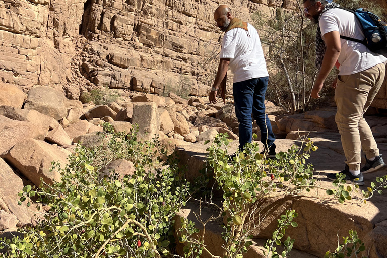 Hurghada Qattar Mountain Adventure: 4WD & Stargazing Hurghada: Gattar Mountain,Off-Road & lunch