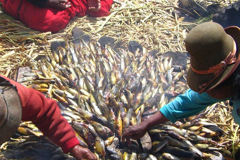 Puno: Uros Floating Islands + Taquile Natural Island (Full Day) with Guide Puno: Floating Uros Islands + Taquile Natural Island (Full Day) with Guide