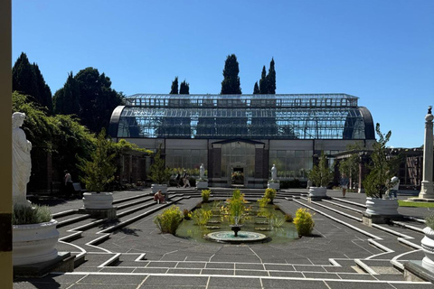 Tour di mezza giornata della città di Auckland e incontro con i kiwi autoctoniTour di mezza giornata alla scoperta della città di Auckland e dei kiwi autoctoni