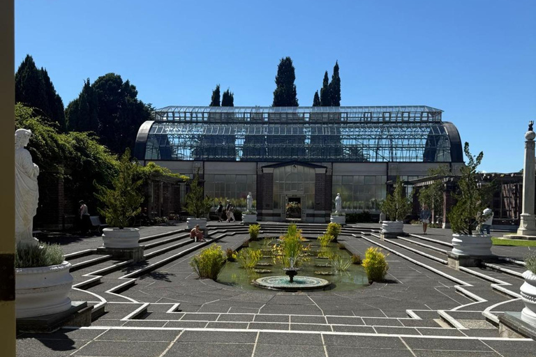 Tour di mezza giornata della città di Auckland e incontro con i kiwi autoctoniTour di mezza giornata alla scoperta della città di Auckland e dei kiwi autoctoni