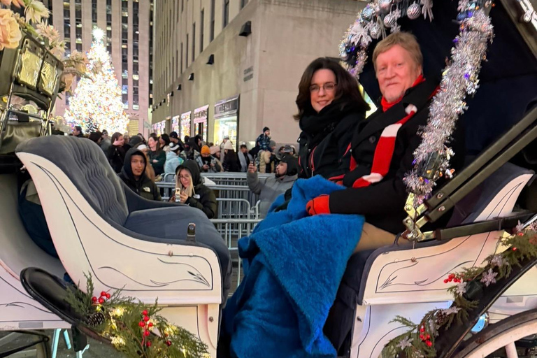 NYC: Central Park Christmas Lights Horse-Drawn Carriage Ride