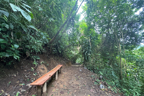 Bijagual Jungle Waterfall Hike & Herradura Beach Adventure
