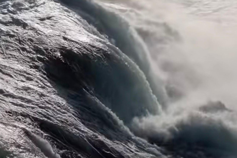 Zurich: Rhine Falls Private Transfer and Entry Ticket