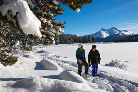 Banff/Canmore/Calgary: Lake Louise &amp; Skigebiet TagestourAbholung in Calgary