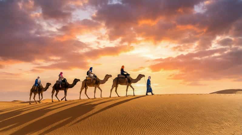 De Fès à Marrakech : une excursion de deux jours dans le désert du Sahara - dromadaire