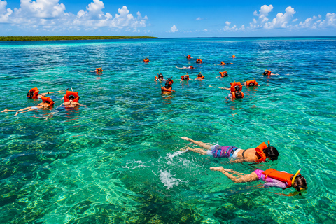 Punta Cana: Isla Catalina Snorkeling & Beach Day Trip