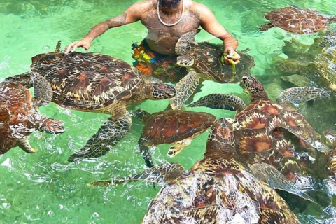 L&#039;aquarium de Nungwi nage avec les tortues de mer