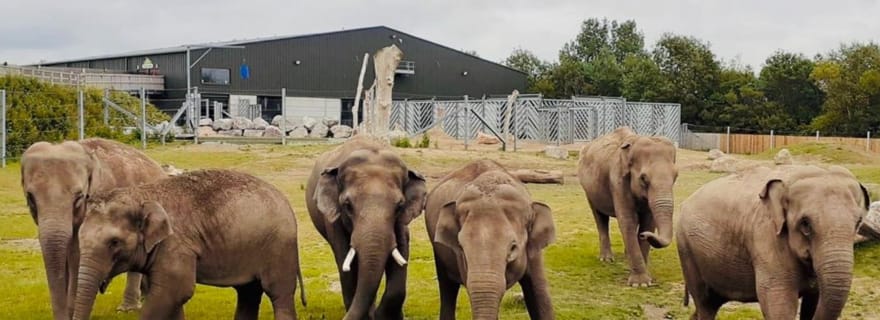 Blackpool : billet d'entrée au zoo