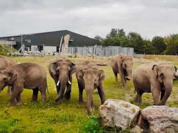 Blackpool: Toegangsticket dierentuin