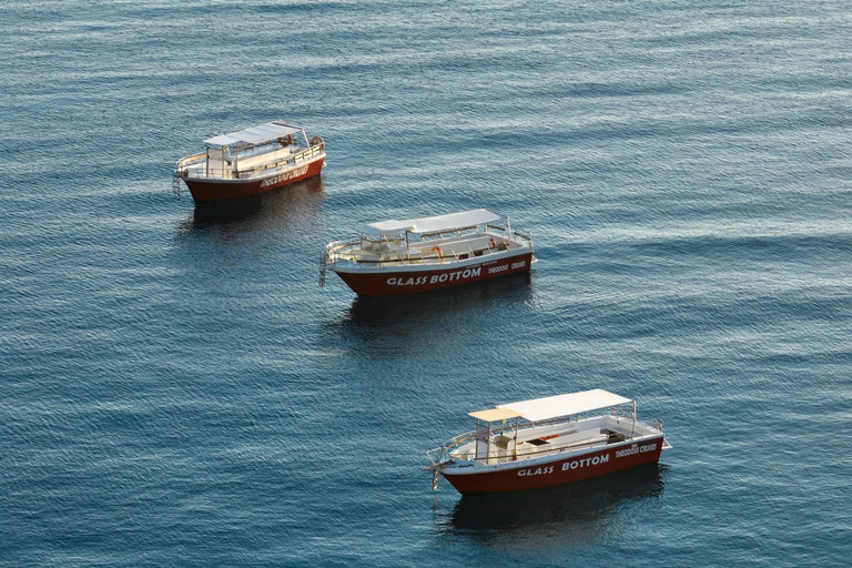 Zakynthos: Shipwreck Beach and Blue Caves Boat Tour Zakynthos: Shipwreck Beach and Blue Caves Boat Tour