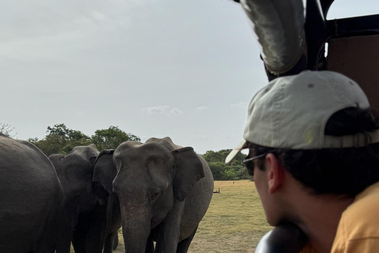 Sigiriya & Dambulla: All-Inclusive Wildlife Safari with Meal From Sigiriya & Dambulla: Elephant Safari (Jeep Only)