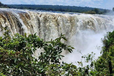 Victoria Falls Guided Walking Tour: Zimbabwe & Zambia