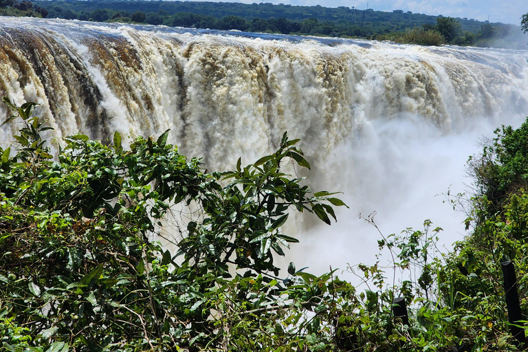 Victoria Falls Guided Walking Tour: Zimbabwe & Zambia