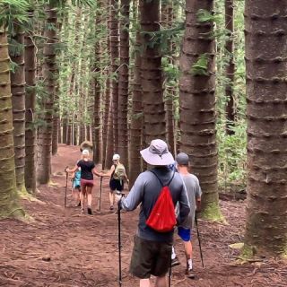 Kauai: Private Hike to Sleeping Giant with Waterfall Option