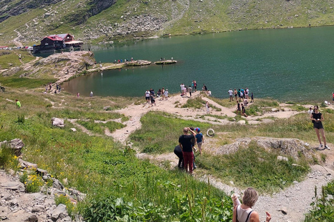 Brasov: Transfagarasan Highway Private Tour with Pickup