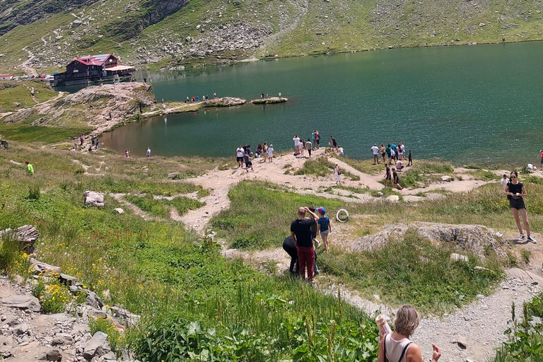 Brasov: Transfagarasan Highway Private Tour with Pickup