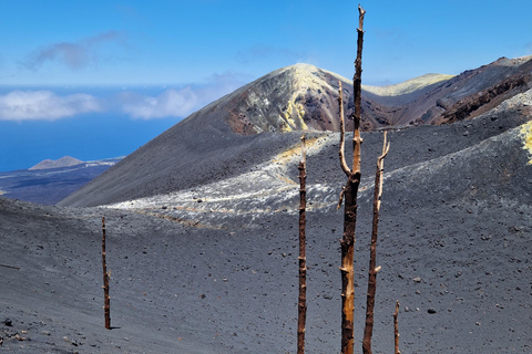 Tajogaite Volcano: the official route with a certified local guide