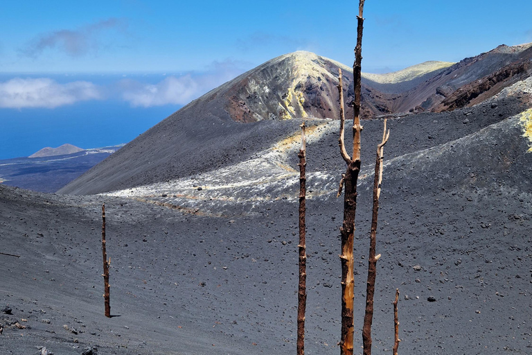 Tajogaite Volcano: the official route with a certified local guide