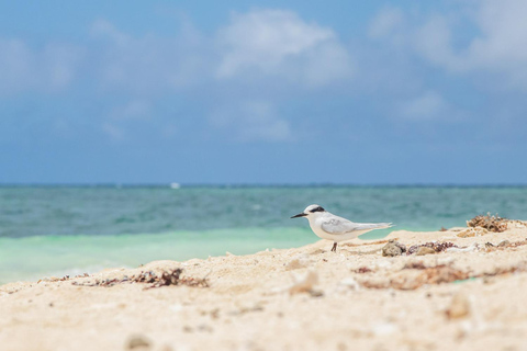 El Nido: Handpicked 3-Island Escape with Entalula & Cadlao