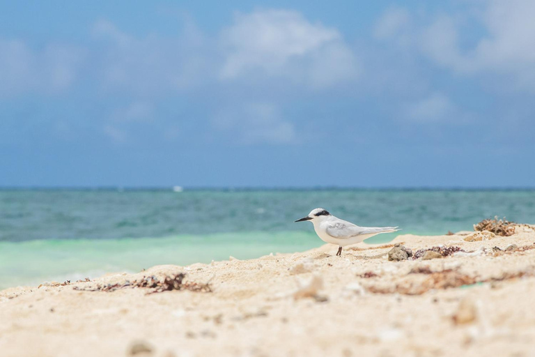El Nido: Handpicked 3-Island Escape with Entalula & Cadlao