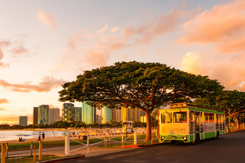 LeaLea Trolley 7 Line + Waikiki Trolley Pink Line 7 day Pass