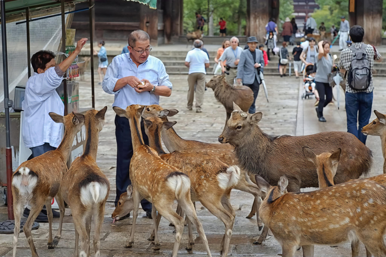 Kyoto & Nara: Private Car Tour with Hotel Pickup & Guide
