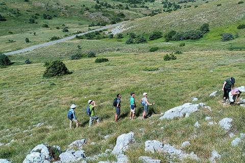 Desde Skopje Excursión a Ohrid y el Pico Magaro en la Montaña Galicica