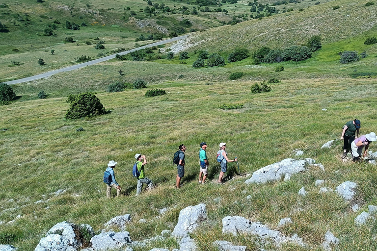 Desde Skopje Excursión a Ohrid y el Pico Magaro en la Montaña Galicica