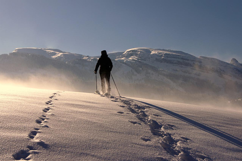 Excursión privada con raquetas de nieve de día completo