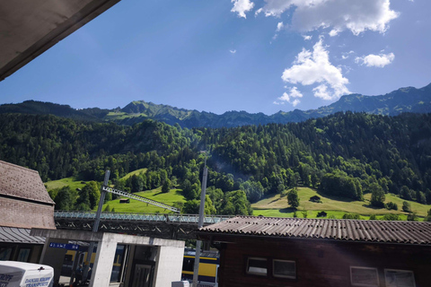 From Zurich: Interlaken, Lauterbrunnen & Grindelwald