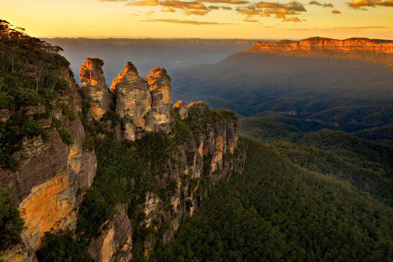 Intimate Blue Mountains Wild Kangaroos, Wilderness & Sunset