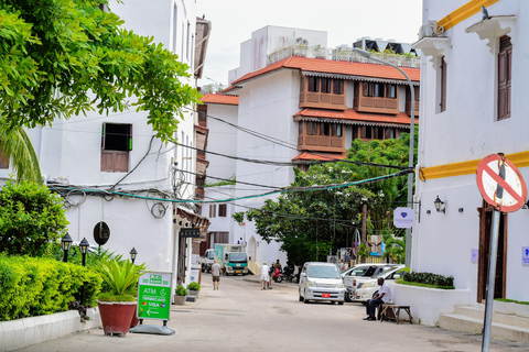 Excursão de meio dia a Zanzibar