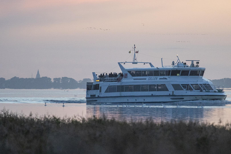 Crane watching by boat from Schaprode (Rügen) with an expert Crane watching by boat from Schaprode with an expert