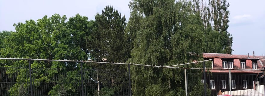 Pilsen : Bubble Soccer