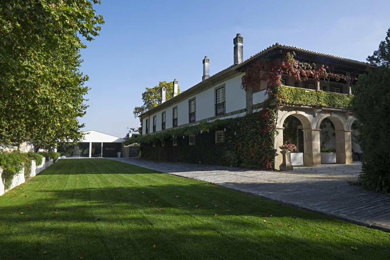 Transfer to Quinta da Pacheca (douro) Primium Sedan (up to 2 Pax)