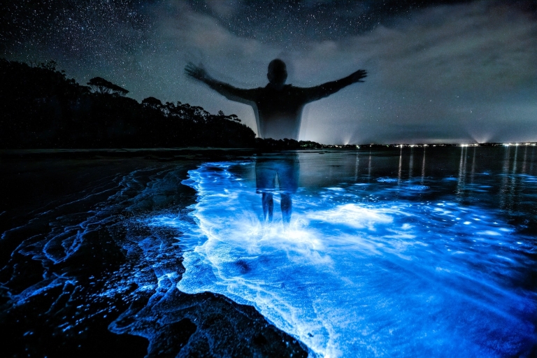 Auckland : Excursion en kayak à la découverte de la bioluminescence