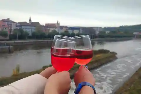 Från Prag: Privat halvdagsutflykt i vin