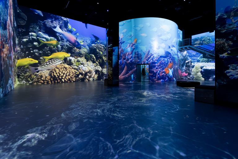 Hamburg: Port des Lumières – Ocean Wonders