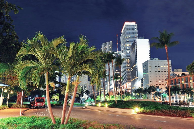 Miami: Top Neighborhoods & Highlights Guided Tour in Spanish