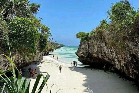 Zanzibar: Floresta de Jozani, centro de borboletas e praia de MtendeTour particular com traslado de ida e volta no hotel incluído