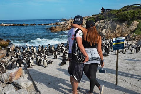 Cape Town: Cape Peninsula Private Tour
