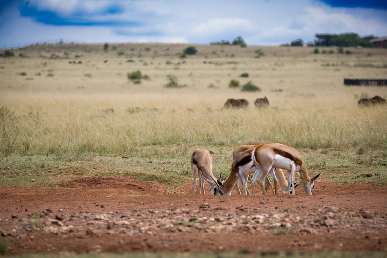 3-Days Nairobi Lake Bogoria and Lake Nakuru National Park